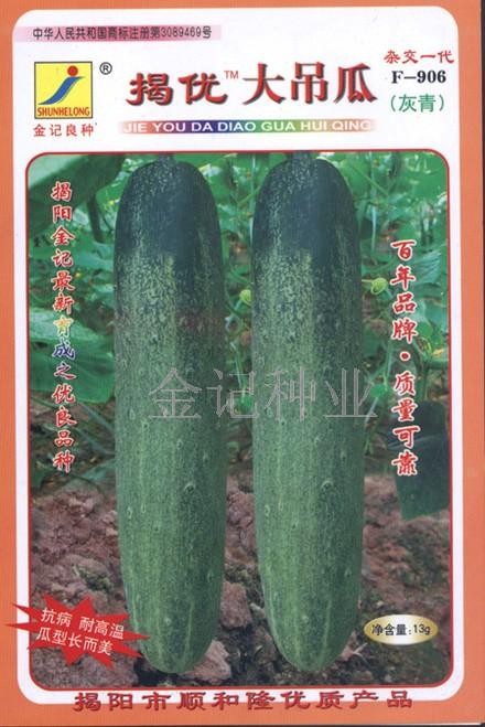 供应黄瓜种子：揭优灰青大吊瓜906